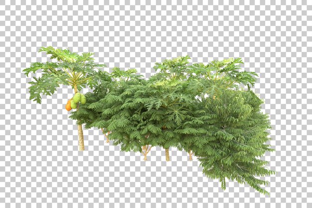 Realistic forest isolated on transparent background 3d rendering illustration