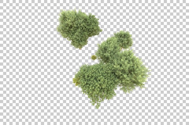 Realistic forest isolated on transparent background 3d rendering illustration