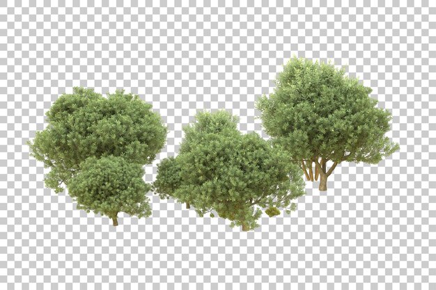 Foresta realistica isolata su sfondo trasparente illustrazione di rendering 3d