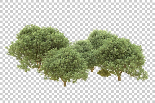 realistic forest isolated on transparent background 3d rendering illustration