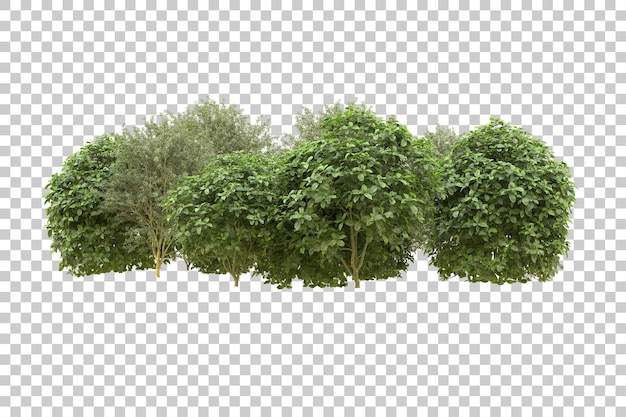 Realistic forest isolated on transparent background 3d rendering illustration