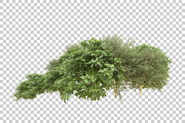 Realistic forest isolated on transparent background 3d rendering illustration
