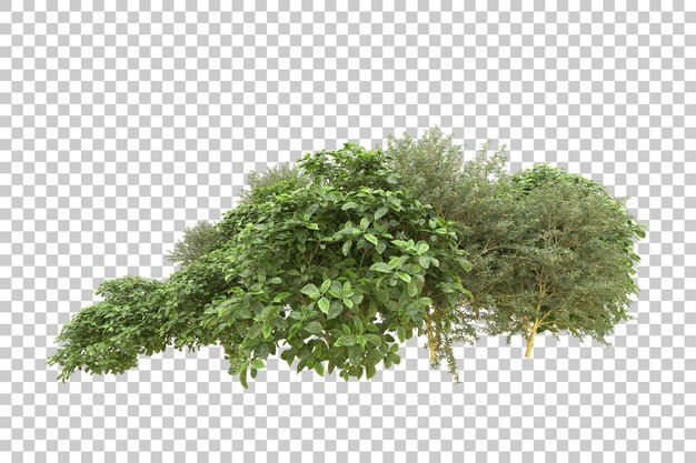 PSD realistic forest isolated on transparent background 3d rendering illustration