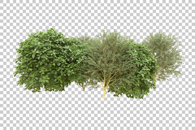 Realistic forest isolated on transparent background 3d rendering illustration