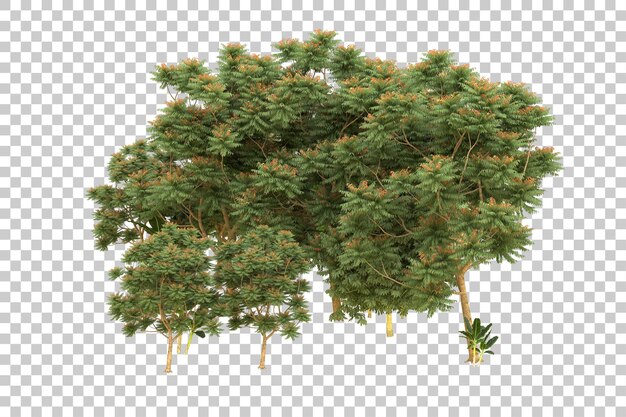 Realistic forest isolated on transparent background 3d rendering illustration