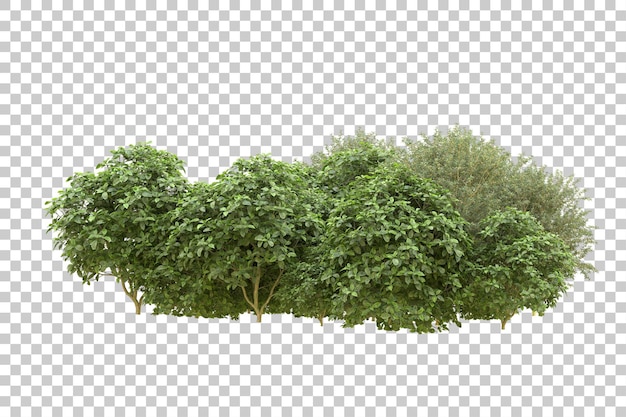 Realistic forest isolated on transparent background 3d rendering illustration