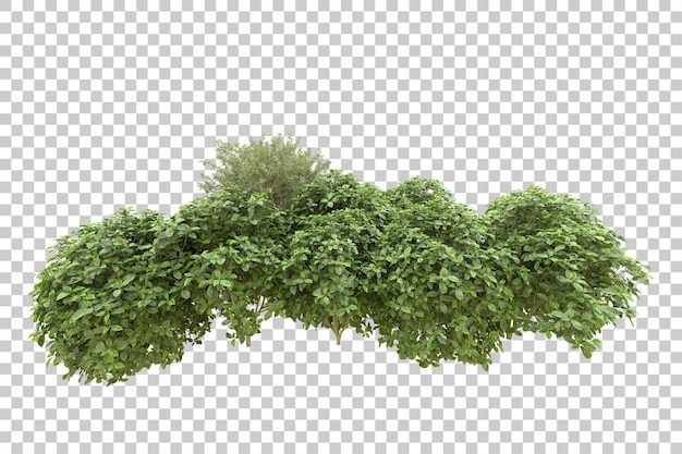 Realistic forest isolated on transparent background 3d rendering illustration