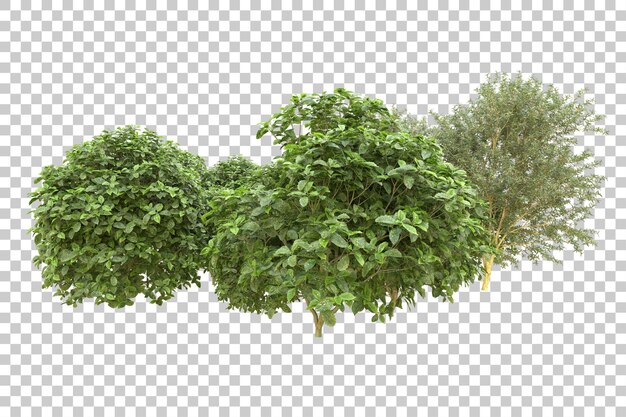 PSD foresta realistica isolata su sfondo trasparente illustrazione di rendering 3d