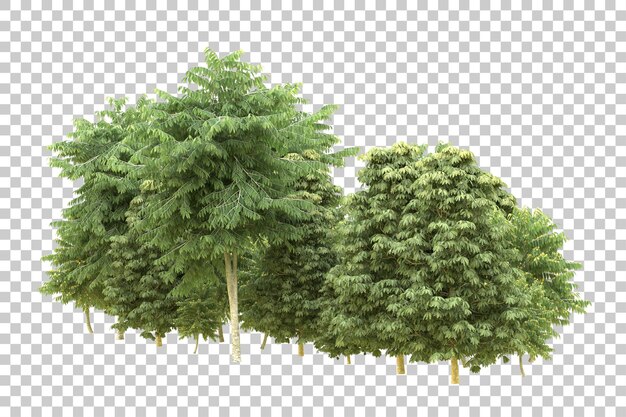 realistic forest isolated on transparent background 3d rendering illustration