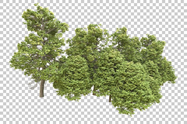 투명한 배경에 고립 된 현실적인 숲 3d 렌더링 일러스트레이션