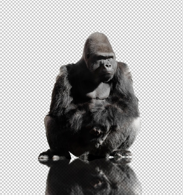 Realistic gorilla