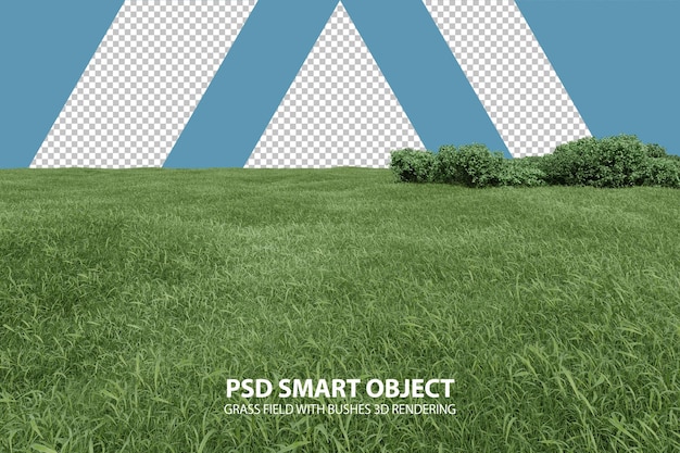PSD Реалистичная травяное поле с кустами 3d-рендеринга изолированных объектов