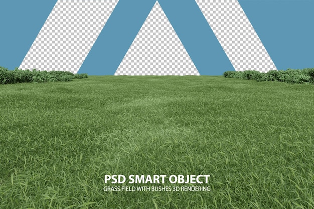 Realistic grass field with bushes 3d rendering of isolated objects
