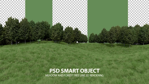 Realistic grass hill and forest tree line 3d rendering of isolated objects