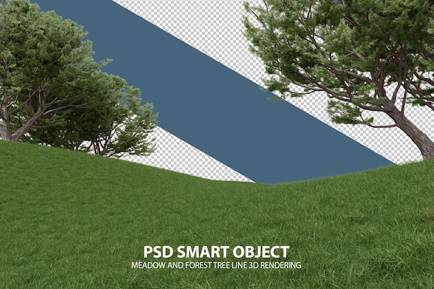 PSD realistic grass hill and forest tree line 3d rendering of isolated objects