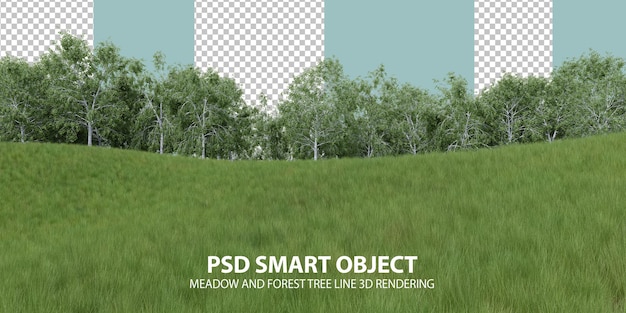 PSD realistic grass hill and forest tree line 3d rendering of isolated objects