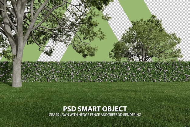 PSD prato di erba realistico con recinzione di siepi e alberi rendering 3d di oggetti isolati