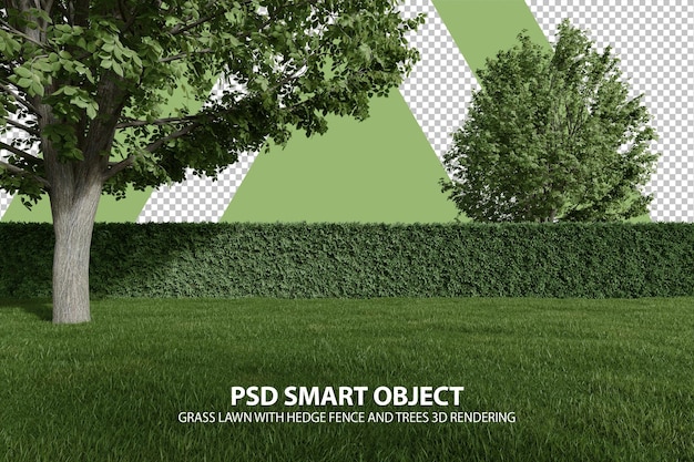 PSD prato di erba realistico con recinzione di siepi e alberi rendering 3d di oggetti isolati