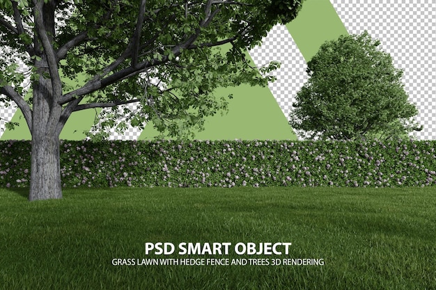 PSD realistic grass lawn with hedge fence and trees 3d rendering of isolated objects