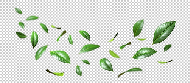 PSD realistic green leaves movement flying isolate on transparent backgrounds 3d rendering