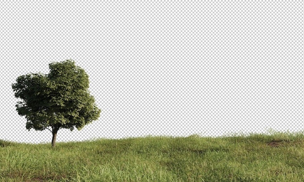Realistic Green Tree on Grass Field with Transparent Background