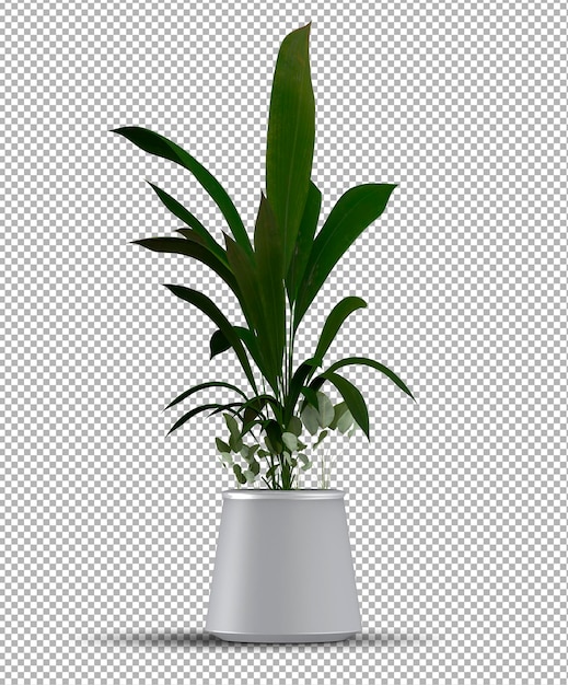 Realistic Isolated Potted Plant Render