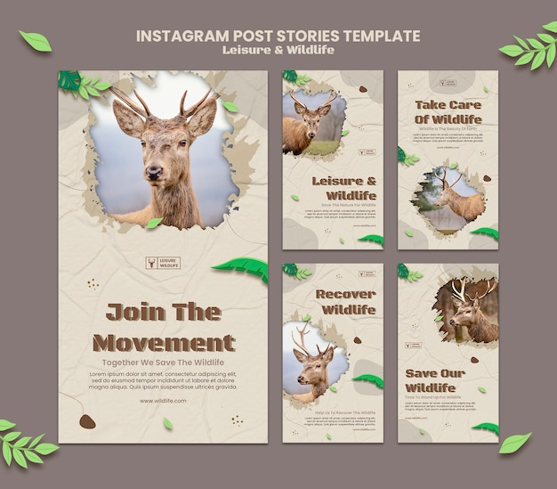 Realistic leisure and wildlife template