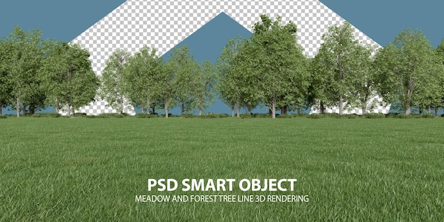 Realistic meadow and forest tree line 3d rendering of isolated objects