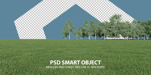 realistic meadow and forest tree line 3d rendering of isolated objects