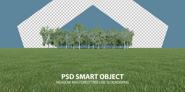 Realistic meadow and forest tree line 3d rendering of isolated objects