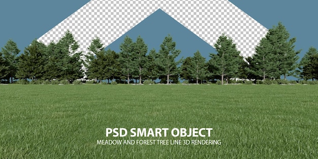 Realistic meadow and forest tree line 3d rendering of isolated objects