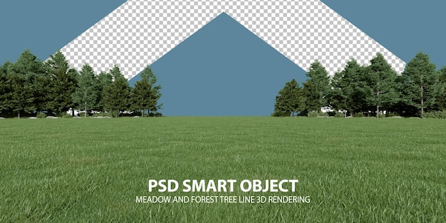 PSD realistic meadow and forest tree line 3d rendering of isolated objects