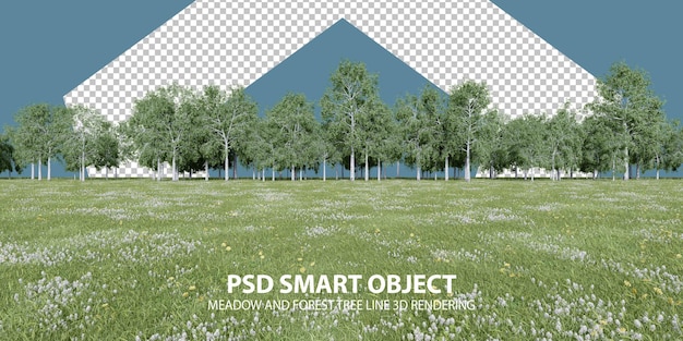 PSD realistic meadow and forest tree line 3d rendering of isolated objects