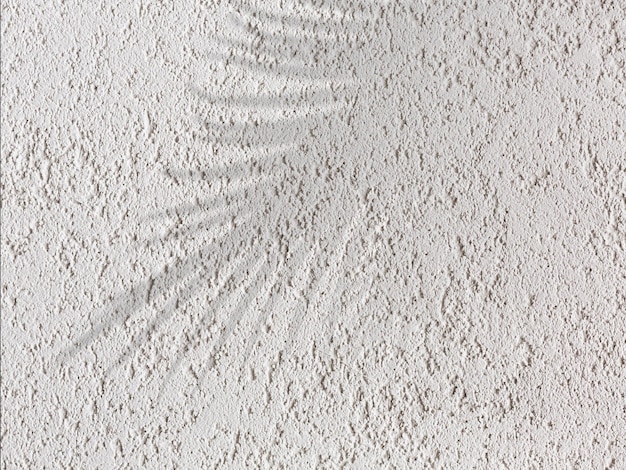 realistic natural and abstract palm tree leaf shadow overlay effect on the beach wall background