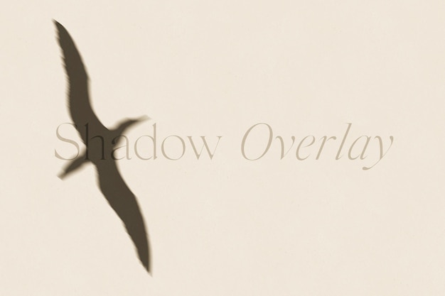 Realistic organic shadow light overlay effect on wall background mockup with bird psd