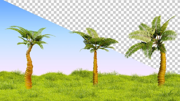 Realistic palm trees on tropical foliage coconut palm tree isolated 3d render