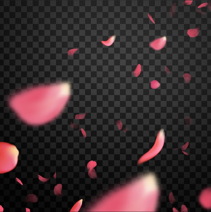 PSD 透明な背景に現実的なピンクの花びら