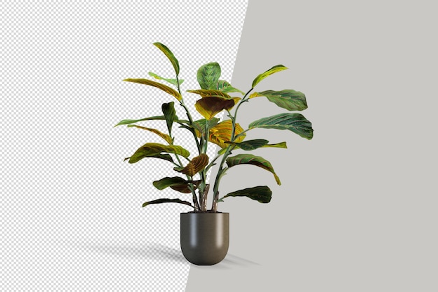 Realistic plant in 3d rendering