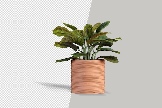 Realistic plant in 3d rendering