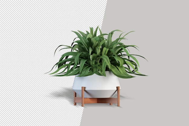 Realistic plant in 3d rendering