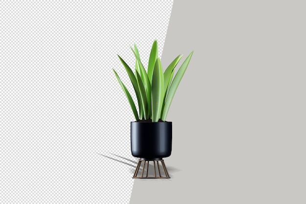 Realistic plant in 3d rendering