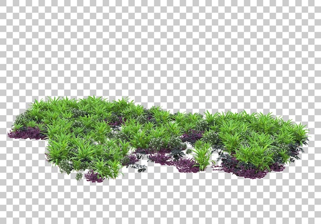 PSD realistic plants on transparent background 3d rendering illustration