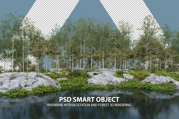 Realistic riverbank with vegetation and forest 3d rendering of isolated objects