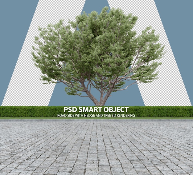 Realistic road side with hedge and tree 3d rendering of isolated objects