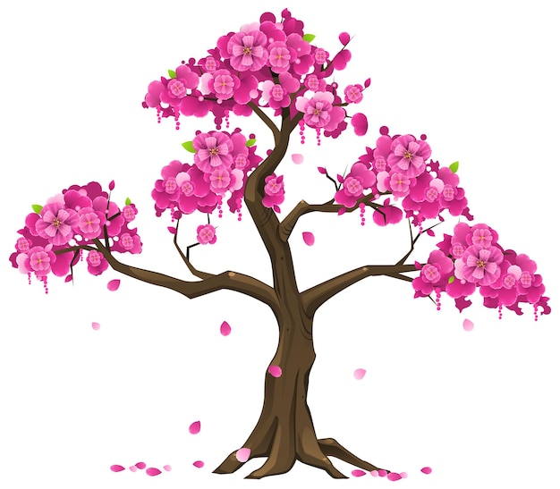 realistic sakura branch
