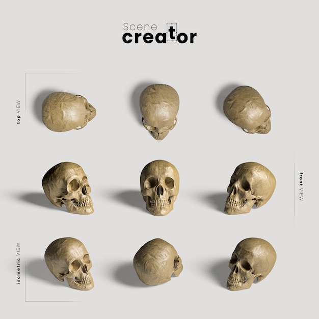 PSD 現実的な頭蓋骨のさまざまな角度のハロウィーンシーンクリエイター