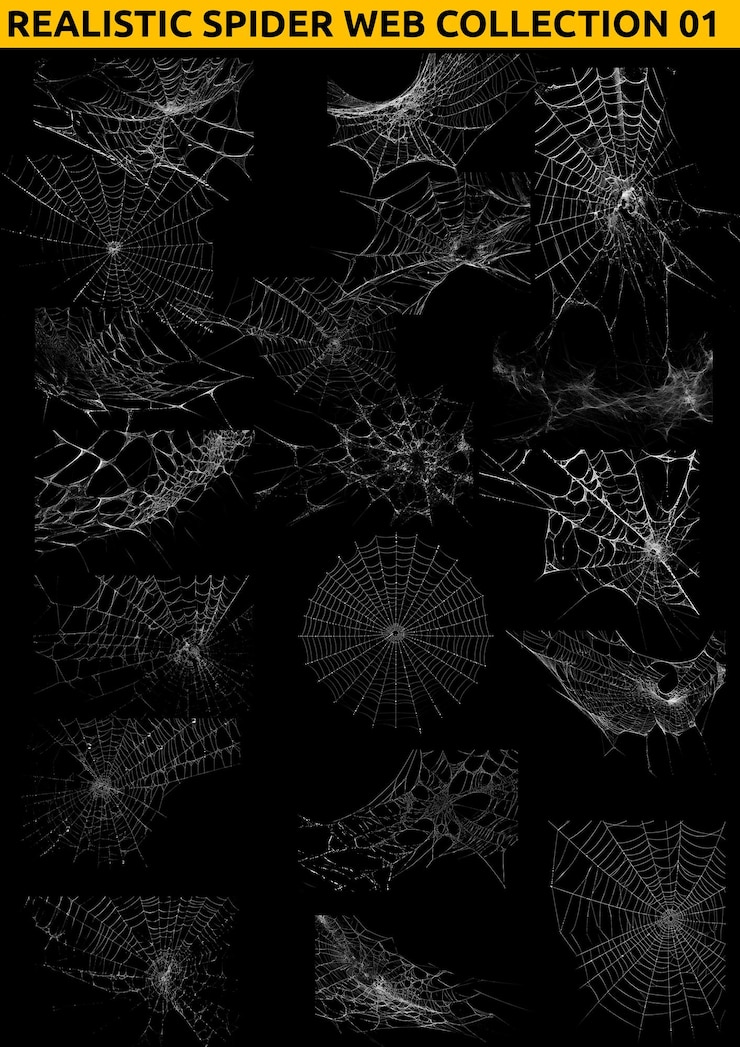 PSD realistic spider web collection 01