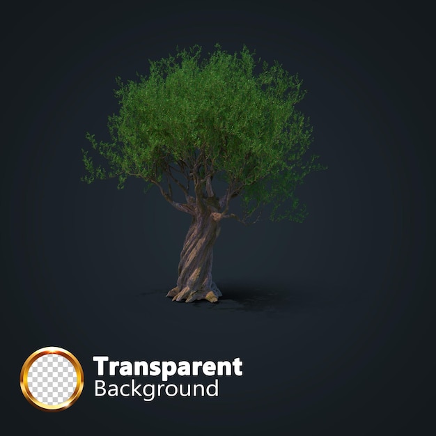 Realistic tree transparent with an isolated image of single Isometric tree png