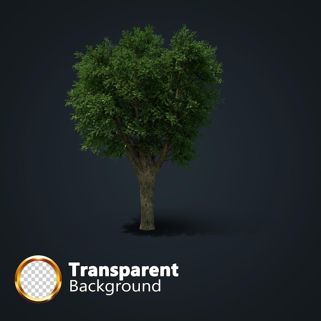 PSD Прозрачное реалистичное дерево с изолированным изображением одиночного изометрического дерева png