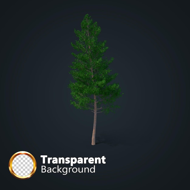 Realistic tree transparent with an isolated image of single isometric tree png